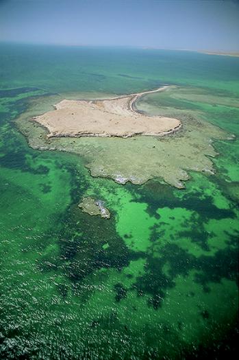 جزر حوار