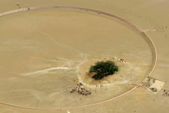 Tree of Life Visitor’s Centre