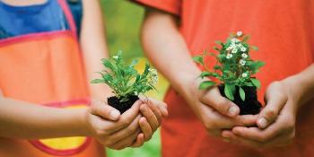 Grow Your Little Italian Garden