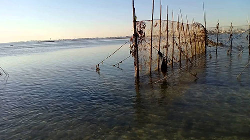 Bahrain Culture Authority’s Spring of Culture Events, Traditional Fisheries Tour around Qala’at al- Bahrain