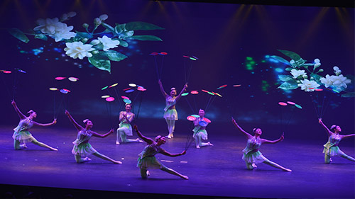 Bahrain Culture Authority & Chinese Embassy Organize, “Guangxi Acrobatic Troupe” Show 